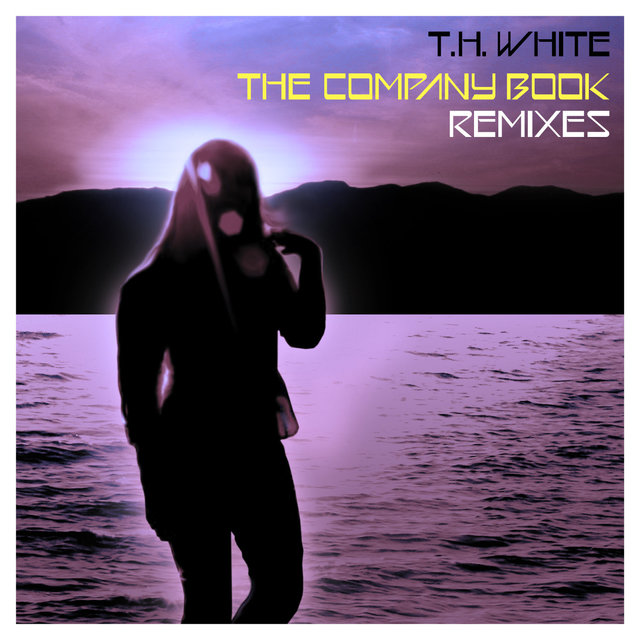 The Company Book Remixes