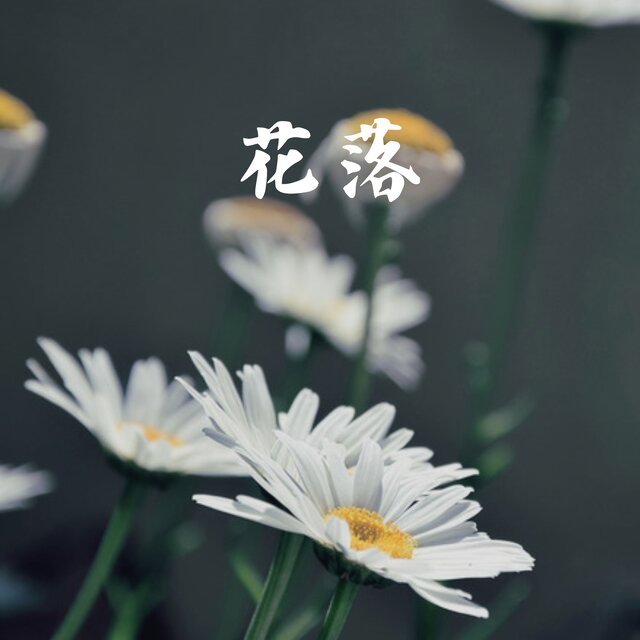花落