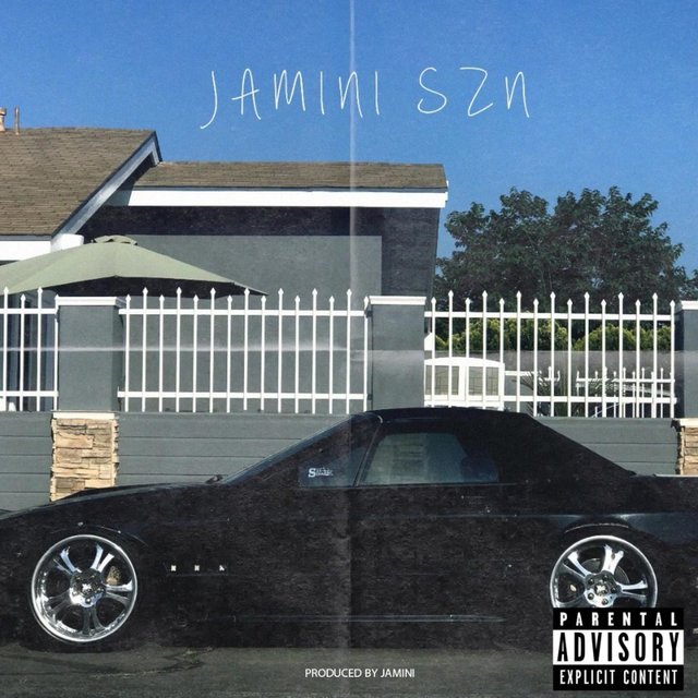 Jamini SZN