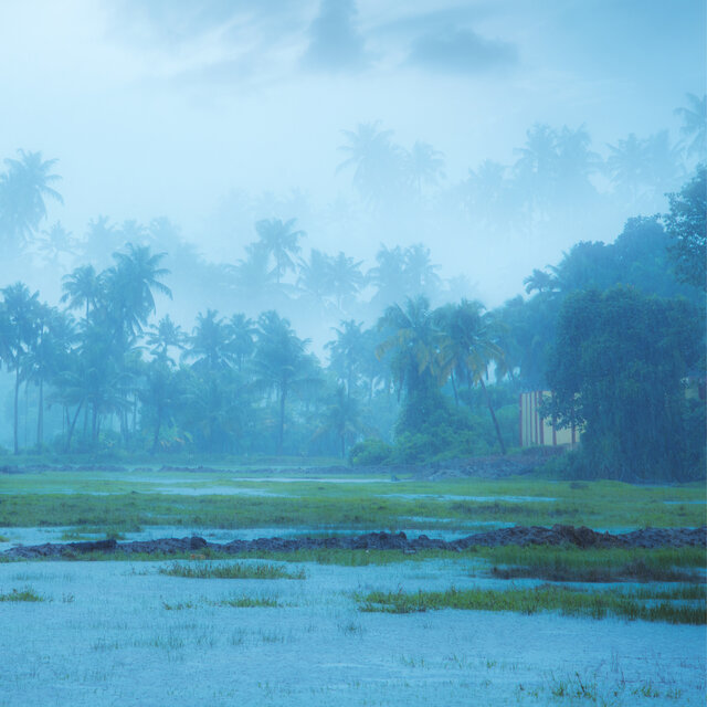 Organic Rain Noise