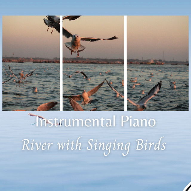 Instrumental Piano: River with Singing Birds  - 3 Hours