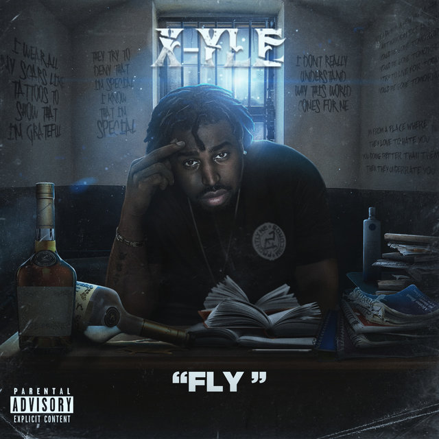 Fly