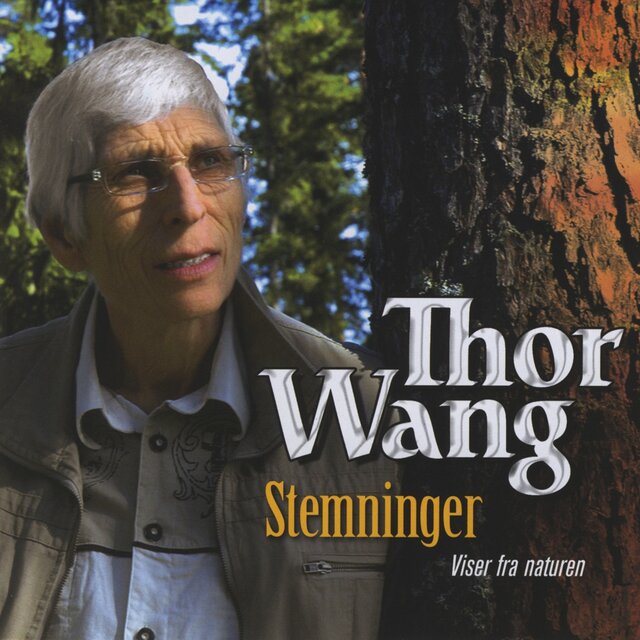 Stemninger