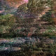 Cover art for album PYR by GHOLD