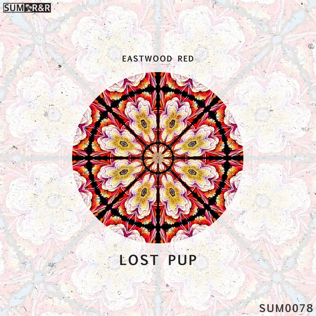 Lost Pup