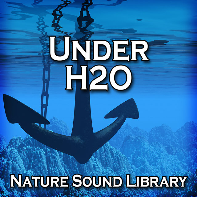 Under H2o (Nature Sounds for Deep Sleep, Relaxation, Meditation, Spa, Sound Therapy, Studying, Healing Massage, Yoga and Chakra Balancing)