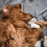 Comforting Moments Underneath a Safe Sky