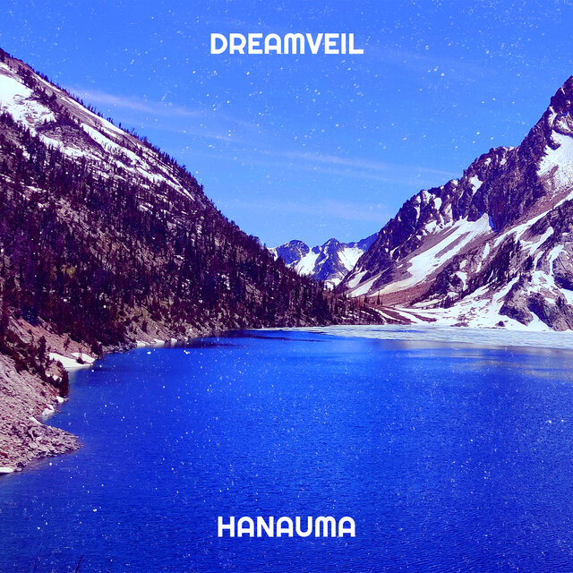 Dreamveil