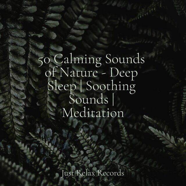 50 Calming Sounds of Nature - Deep Sleep | Soothing Sounds | Meditation