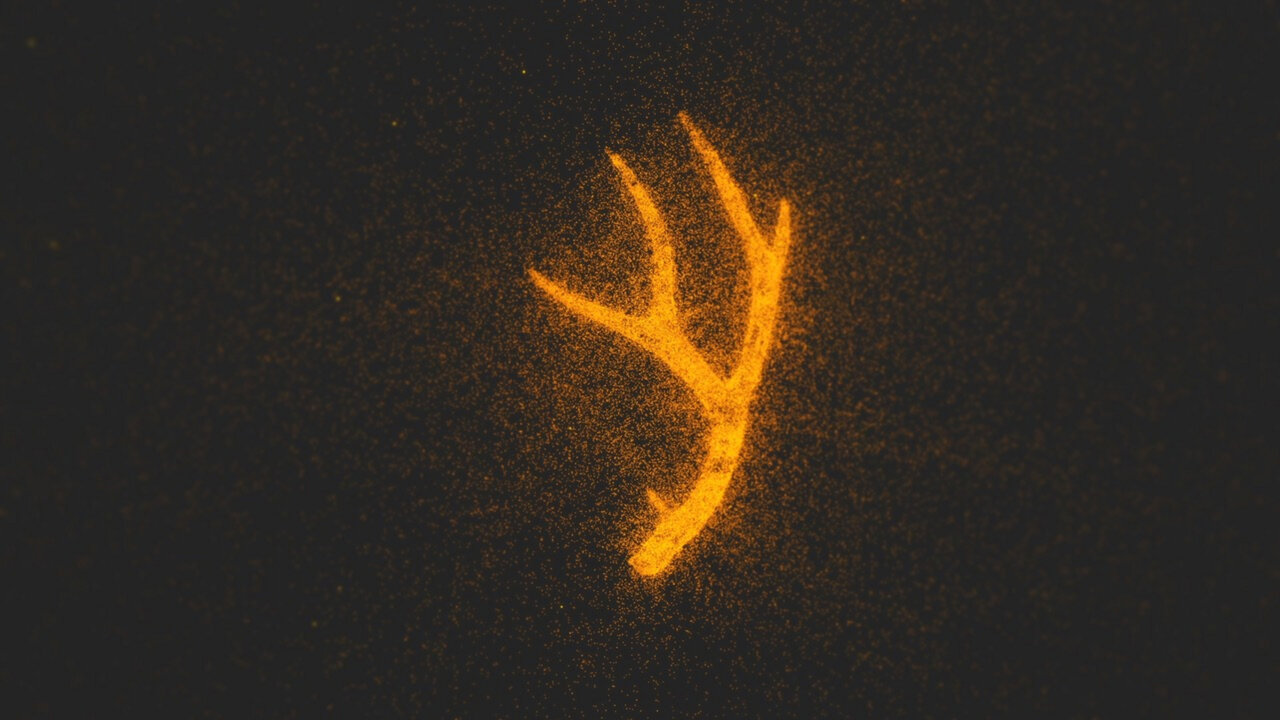 DEER.