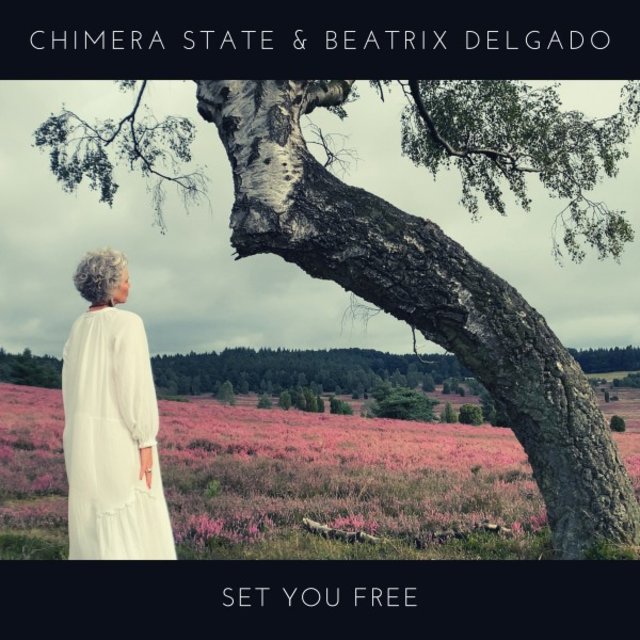 Set You Free
