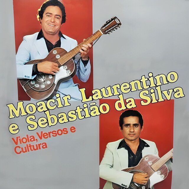 Viola, Verso e Cultura