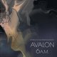 Cover art for album Avalon 6AM by Markus Schulz, Dakota
