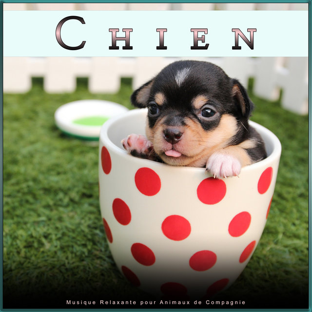 Chien : Musique Relaxante pour Animaux de Compagnie