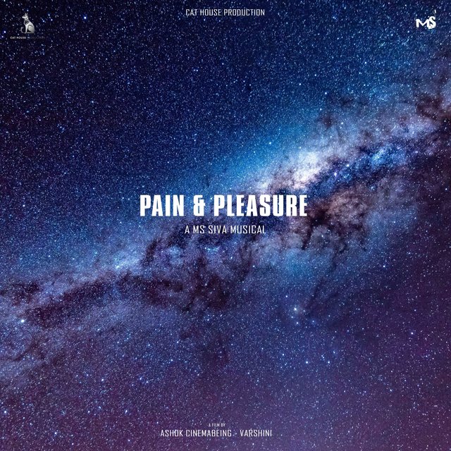 Pain & Pleasure (Original Sound Track)