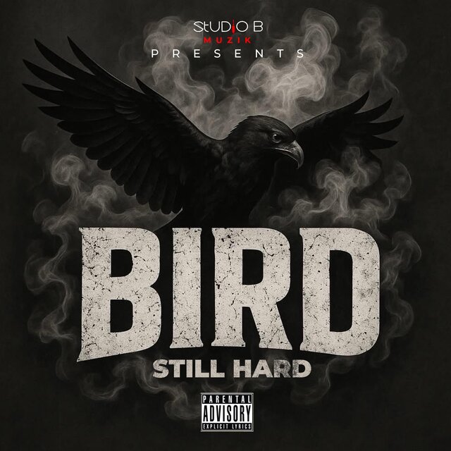 Still Hard