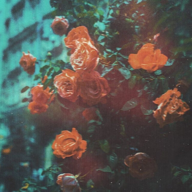 Couleurs sombres