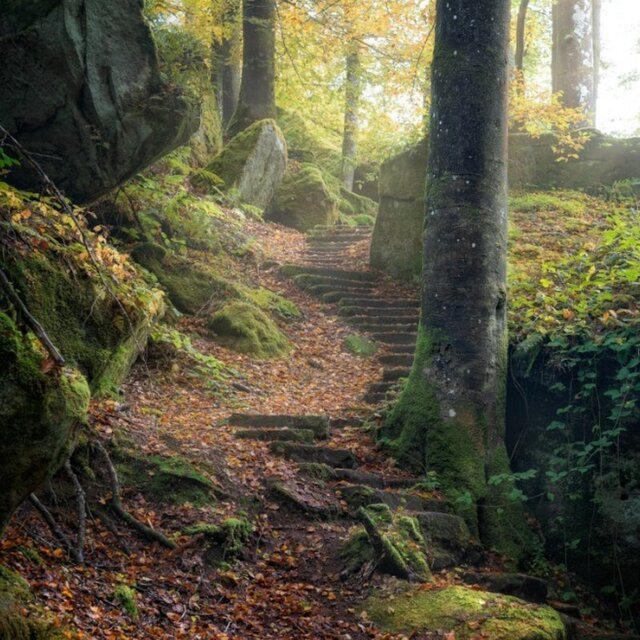 WALK ALONE