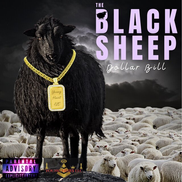 The Black Sheep