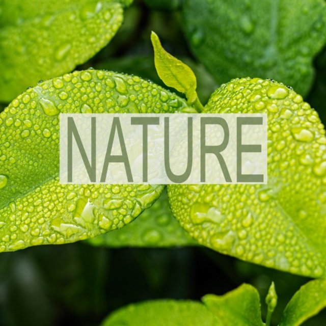 Nature