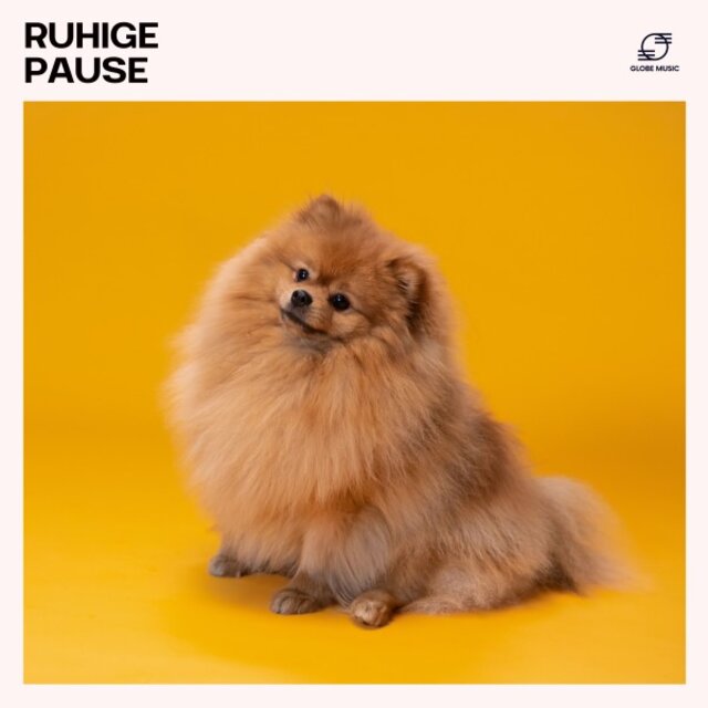 Ruhige Pause: Musik für Haustiere