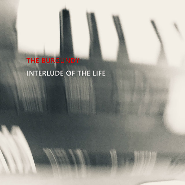 Interlude Of The Life