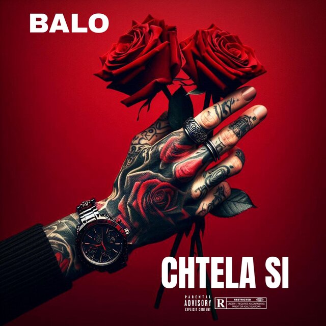 Chtela si
