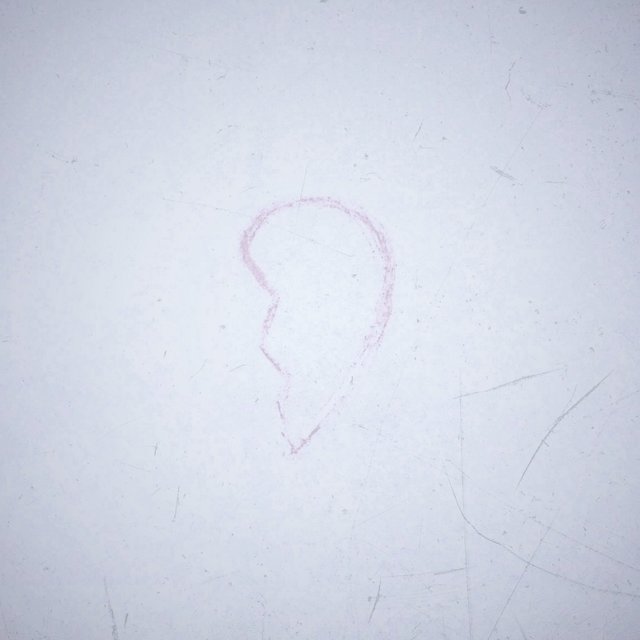 Damaged Hearts