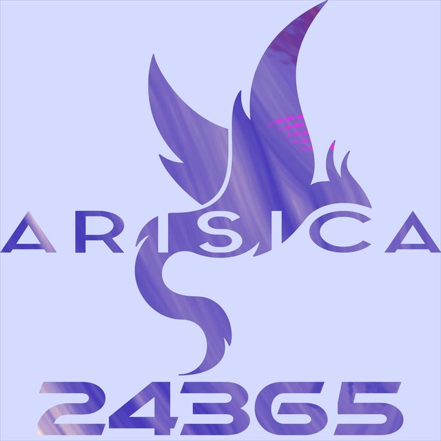 24365