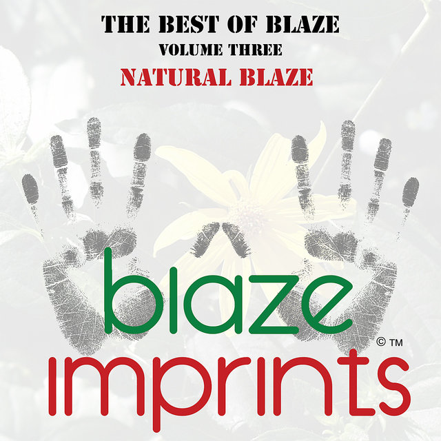 The Best of Blaze, Vol. 3 - Natural Blaze (Digital Only)