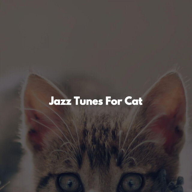 Jazz Tunes For Cat