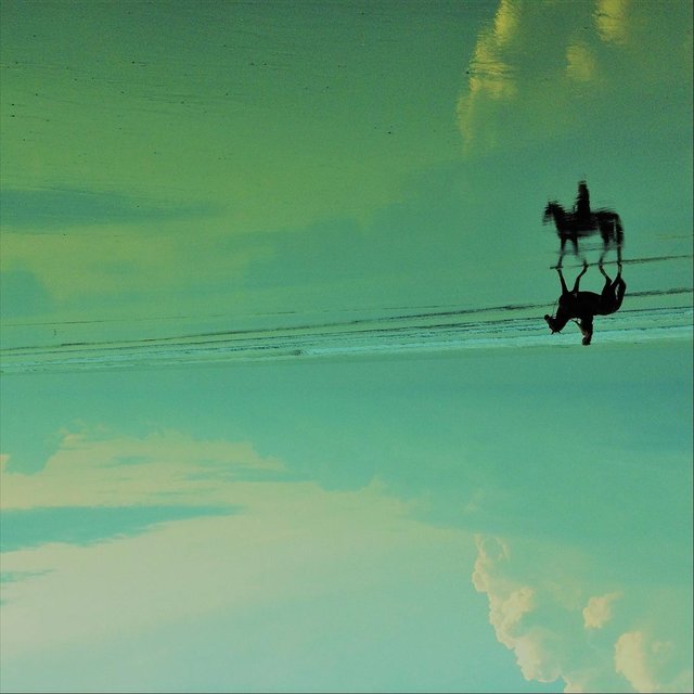 Skyhorse Radio