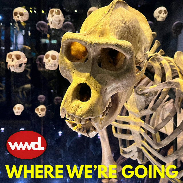 Where We're Going