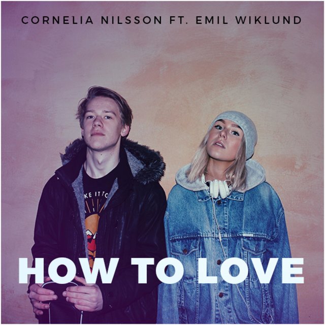 How to Love (feat. Emil Wiklund)