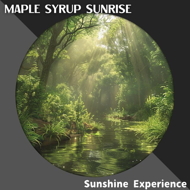 Sunshine Experience