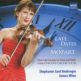 Violin Sonata No. 35 in A Major, K. 526: I. Molto allegro