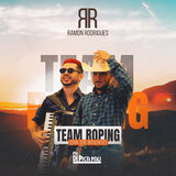 Dia de Rodeio - Team Roping