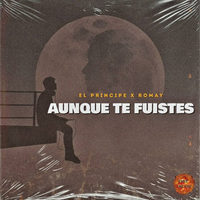 Aunque Te Fuistes