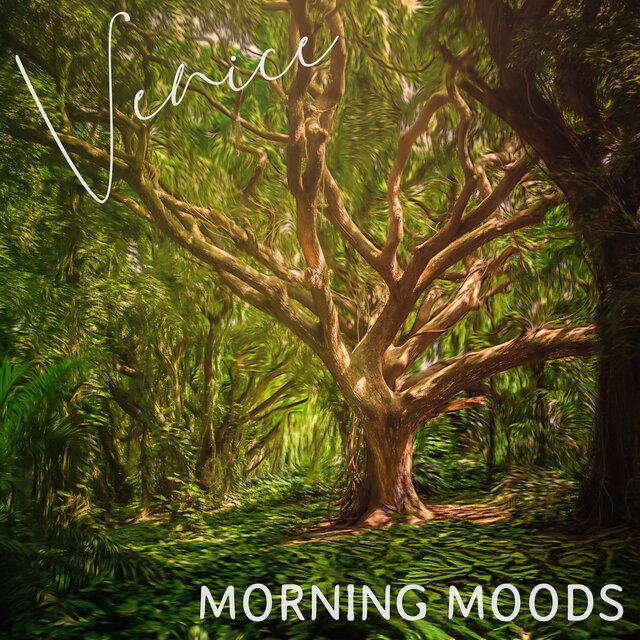 Morning Moods