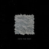 Into the Past