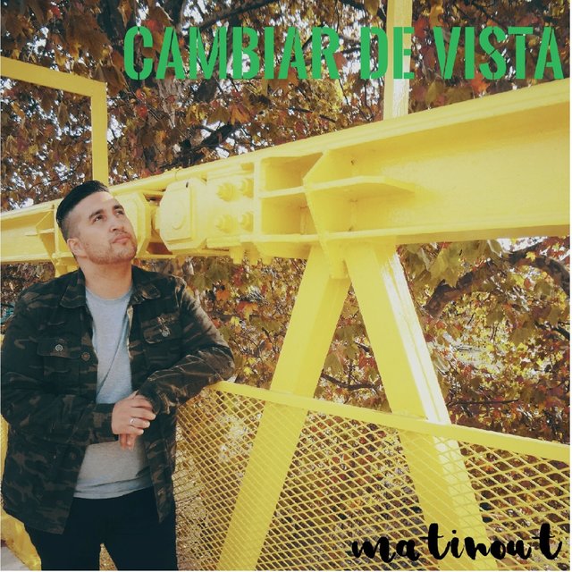 Cambiar de Vista