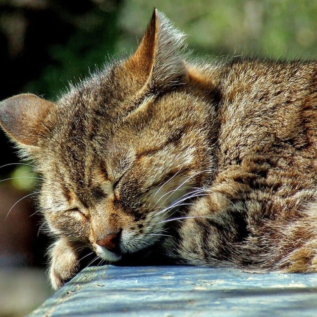 Long Day