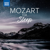 Flute Concerto No. 2 in D Major, K. 314: Ii. Andante ma non troppo