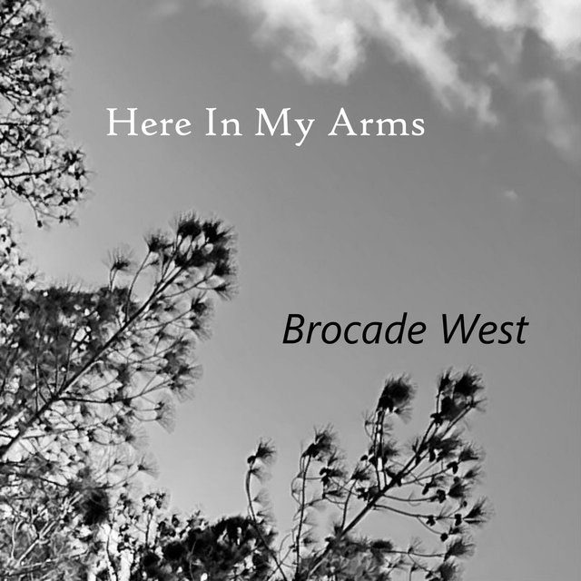 Here In My Arms