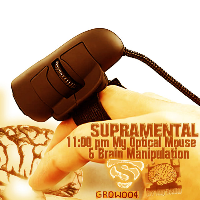 11-00Pm My Optical Mouse & Brain Manipulation