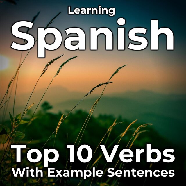 Learning Spanish: Top 10 Verbs with Example Sentences