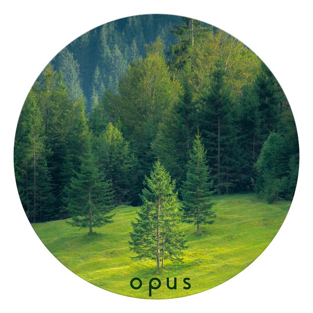 Various Artists V07