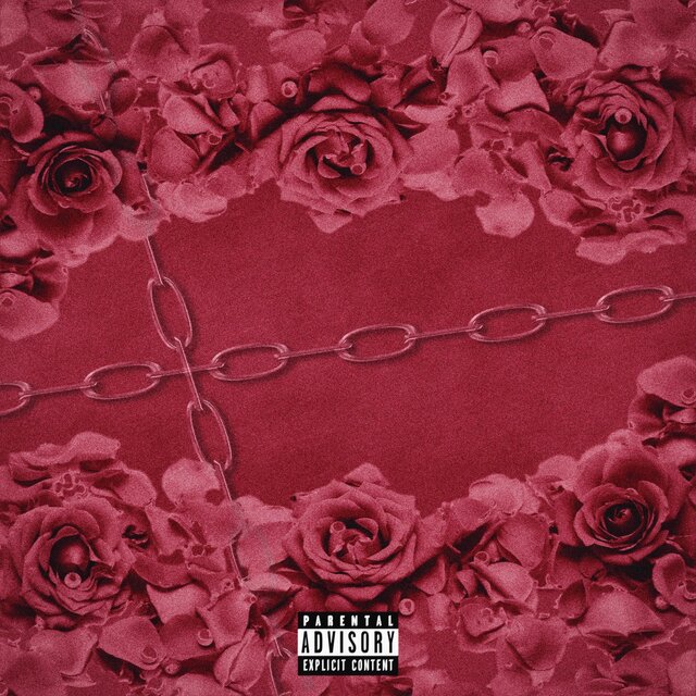 My Rose Tinted Tape
