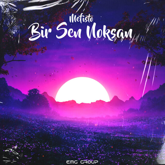 Bir Sen Noksan