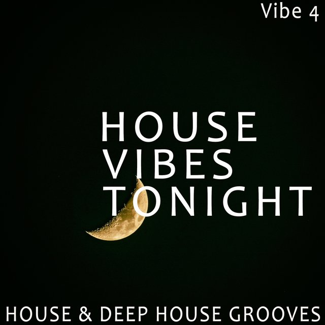 House Vibes Tonight - Vibe.4
